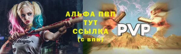 СК Алексин