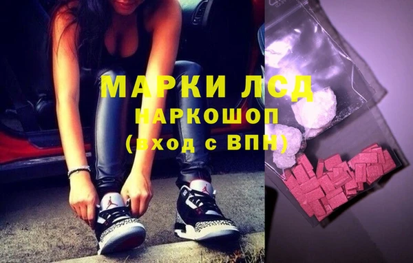 прущие грибы Алексеевка