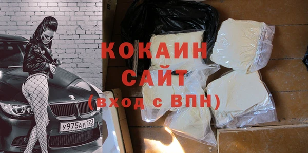 прущие грибы Алексеевка