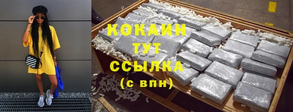 СК Алексин