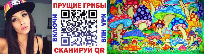 Псилоцибиновые грибы Psilocybe  mega ССЫЛКА  Благовещенск 