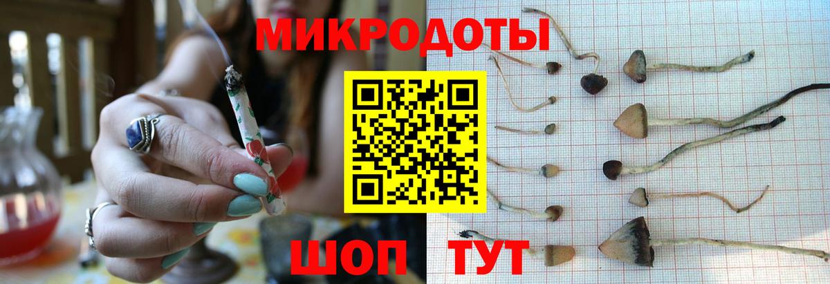 Галлюциногенные грибы MAGIC MUSHROOMS  Вход с VPN  Благовещенск 